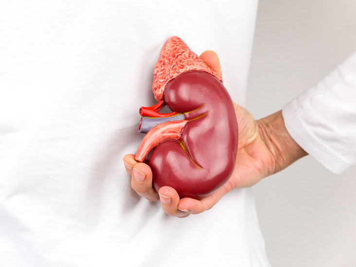 Kidney Transplant - Is Kidney Transplant Good For You?