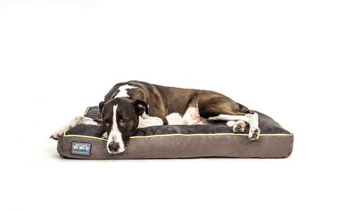best memory foam dog bed