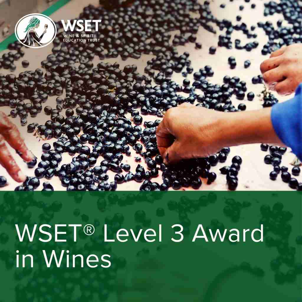 wset certification